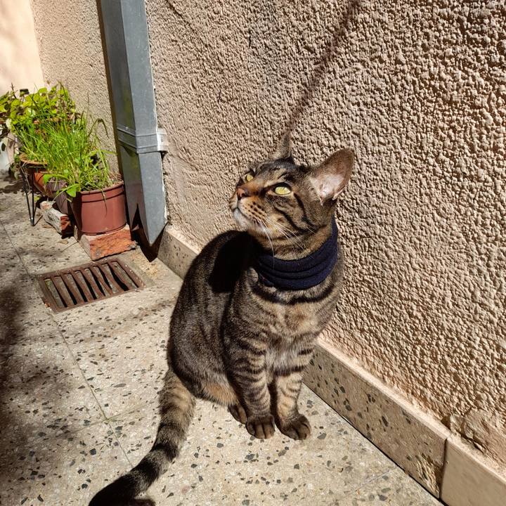 9f8aaff5 017c 49fe 83db 76f8d1c59326 1757296969628