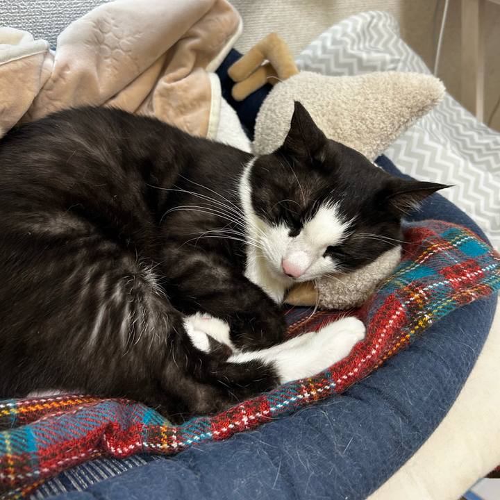 9f8ac7b4 ea05 4cb9 a662 52e5d3758f7f 1712986651235