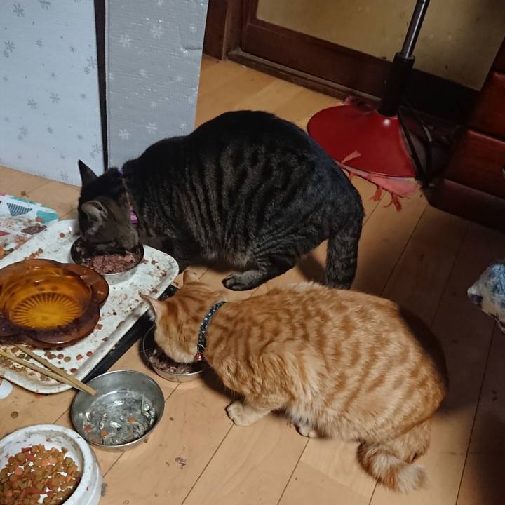 9f8ada25 ff2e 423e 951a 989773671701 1648297278574