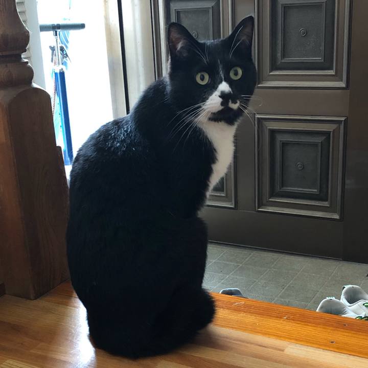 9f8ae704 257e 4ade 83de 56847f2b3470 1621827062286