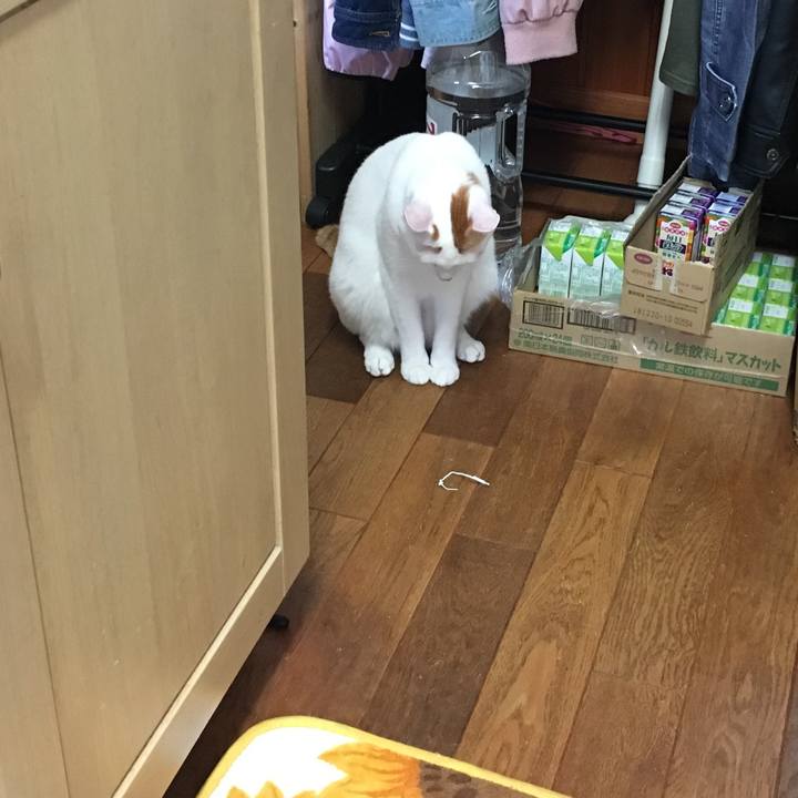 9f8b11e9 7421 4c50 87ed cb1efc9af404 1539297936070