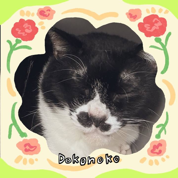 9f8b2178 2904 41e8 b9e0 d3deecc214be 1715072933539