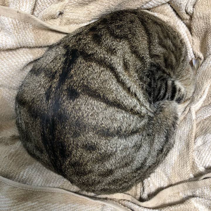 9f8b2aea 38e9 4257 b0b7 f9cc12b56b05 1544299794793