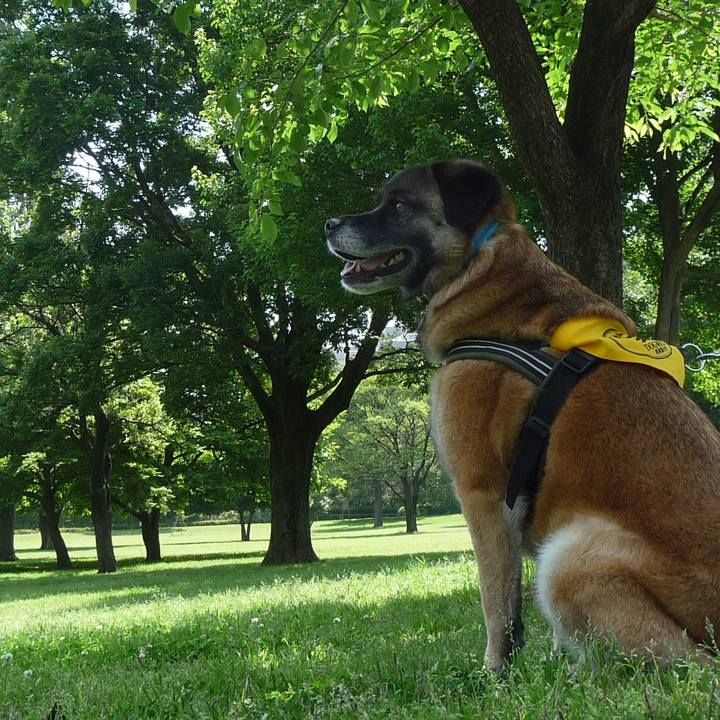 9f8b41d6 bf9a 4650 9899 dfc44c72ebf2 1578091165851