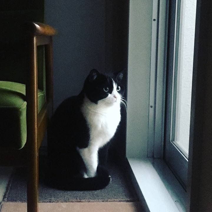 9f8b4c4f 6d21 408f ae6a 3db0c8f592ab 1640817191973