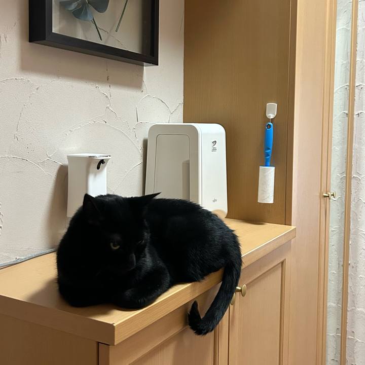 9f8b9178 5748 4a31 a611 5425b61fb916 1685917750610