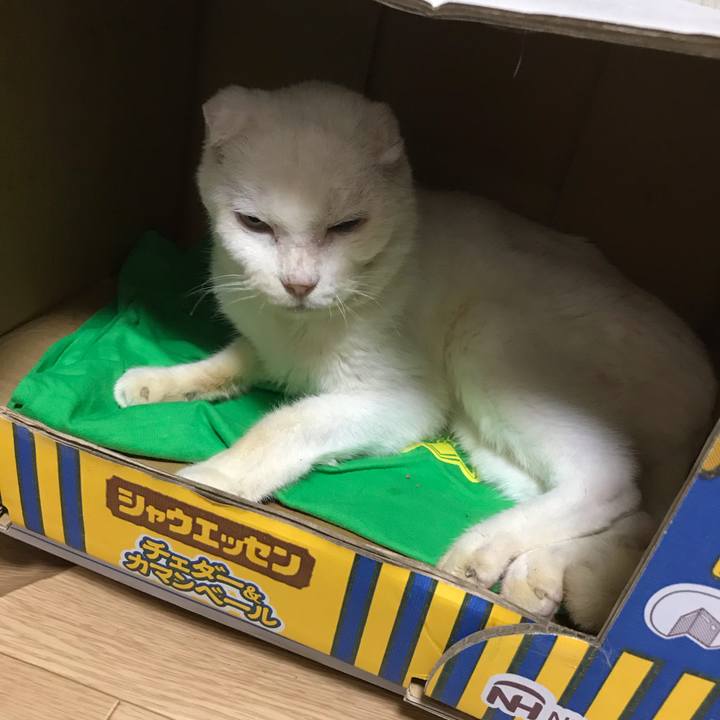 9f8ba65d add9 4648 b2ca 71f355256f3b 1590585779225