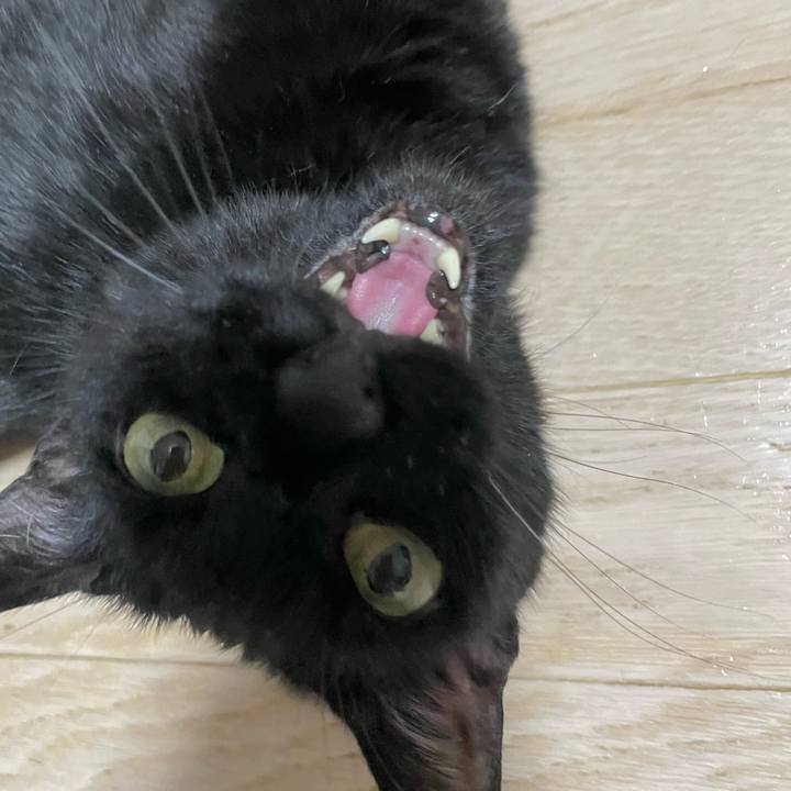 9f8bad29 cb48 4545 9a6e b57c19a30c56 1726920625381