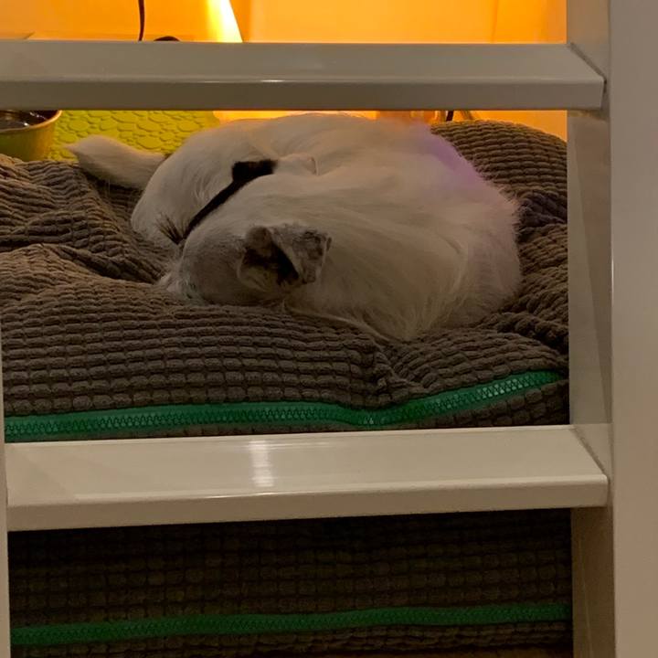 9f8be189 9844 4094 ad1a d0504c5fb44e 1564831293834