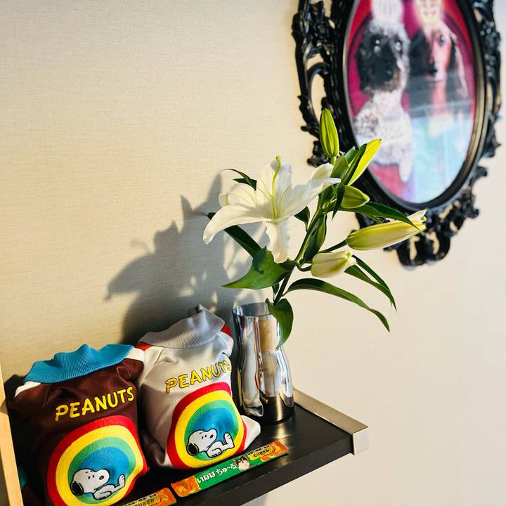 9f8c046d 4550 4f48 aef4 7f3dee0599cc 1723677275108