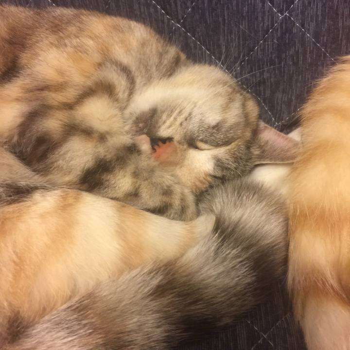 9f8c1c6a 7255 4f71 b057 760471f9b946 1559405088451