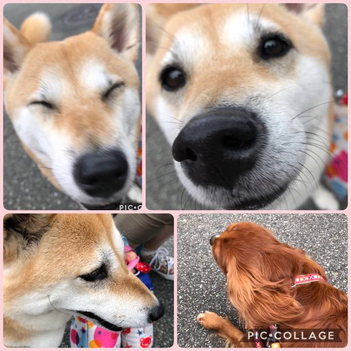 9f8c2a0c 3846 484e abca 0ba323be3c2c 1599997180927