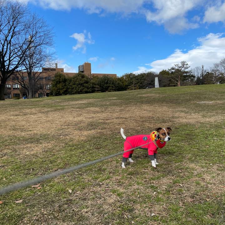 9f8c3e7a 2d0a 4d40 841d e72d26602266 1645357714217