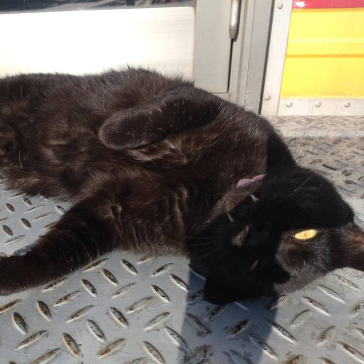 9f8c4c15 745a 426c 838c eae573ab8e3f 1729481532666