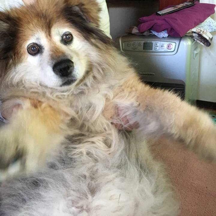 9f8c7b2e 81d2 4493 b7c8 a637e0963091 1610947978923