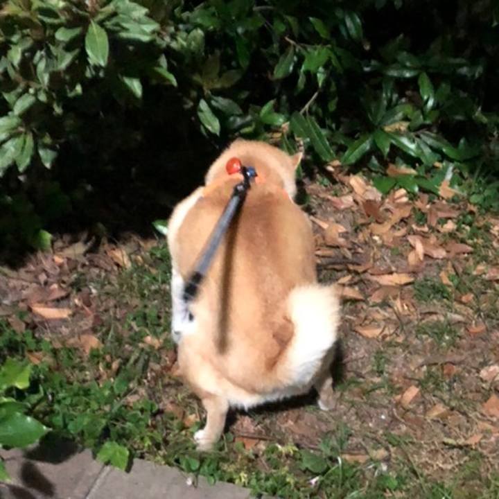 9f8c897e f848 45cd ad12 4251d19b15fe 1558529275092