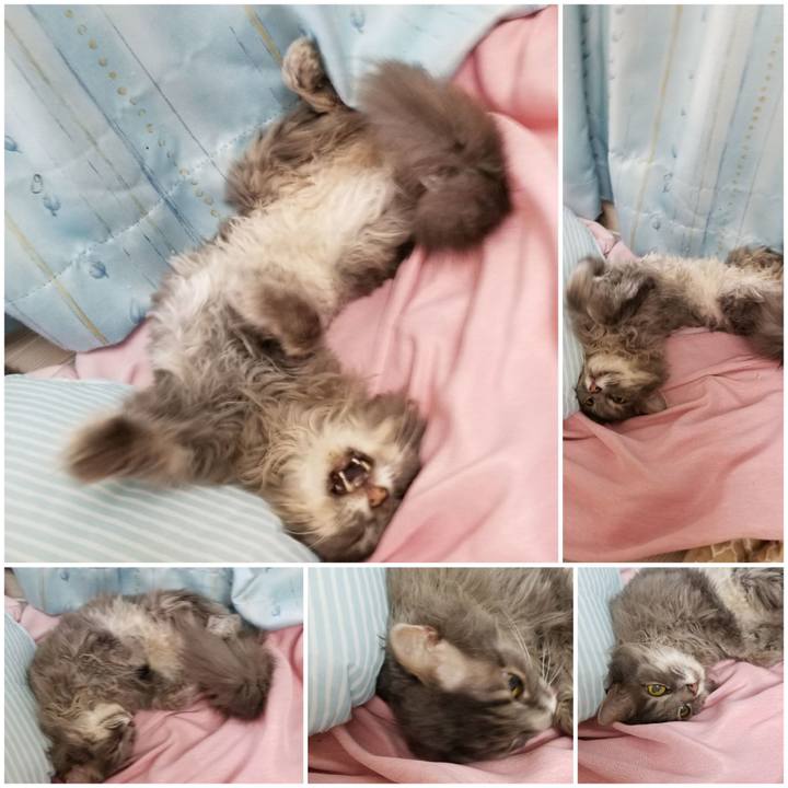 9f8ca38f c142 456d 8bc7 d635fb81c5cc 1596547718486