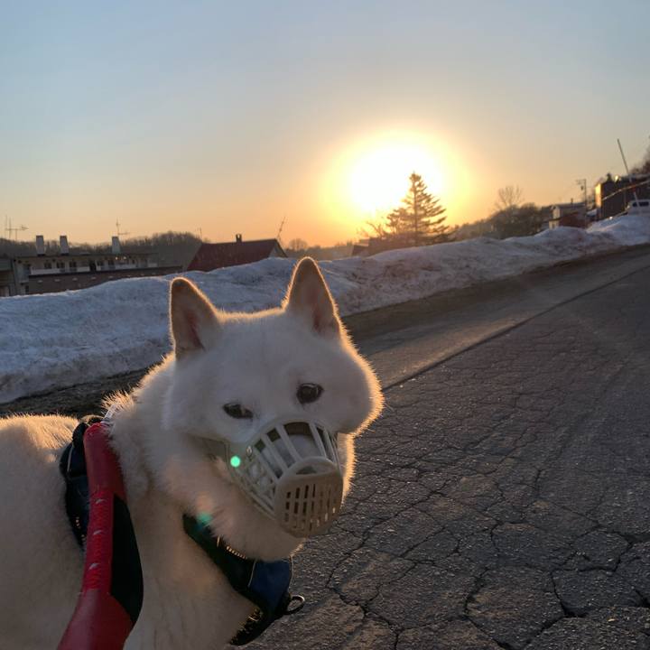 9f8cc9e4 580b 4320 8b07 63dfc436ae3c 1649021821441