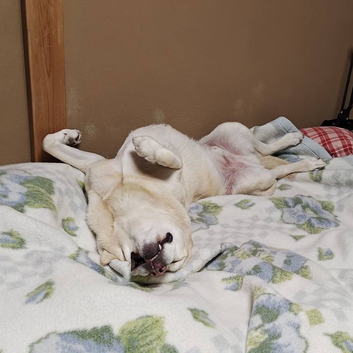 9f8ccce3 1530 4bfc 8e21 bf3cd1617e45 1764258551795