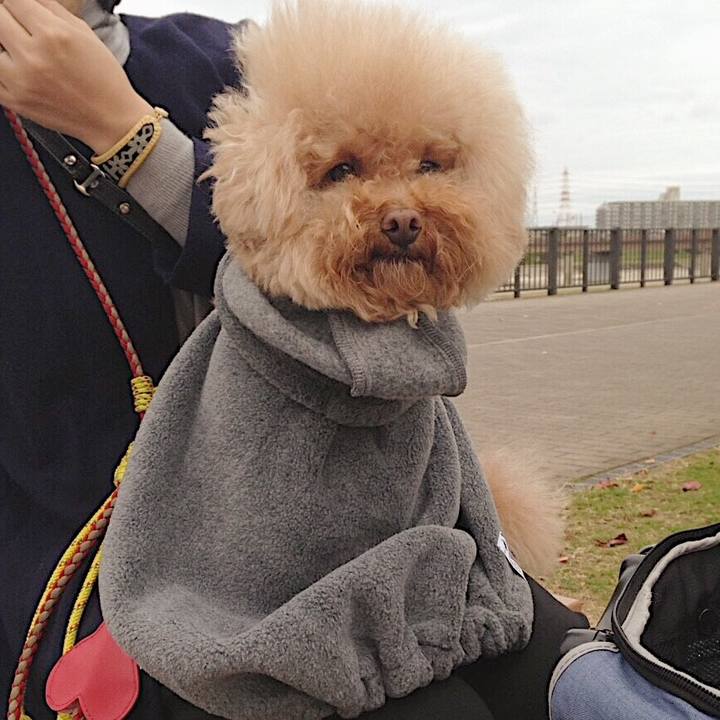 9f8cd33d a25d 4368 97d8 6c7c179b3c28 1542154573941