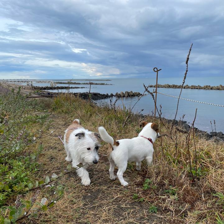 9f8cea0e c221 4146 b74b 0905ec1af82c 1635290542641