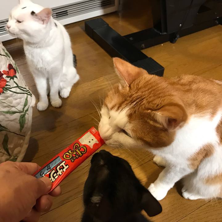 9f8cf267 f3f7 4811 ac0b 30d1815acbb3 1564059955777