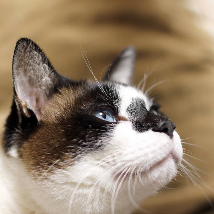 9f8d0481 acd7 4eef 80ea 853da19043ef 1520425250742