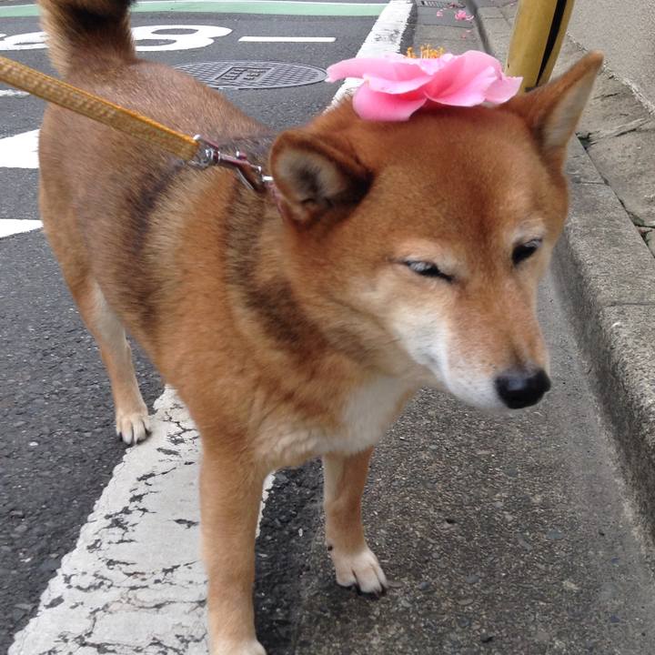 9f8d1936 6ae3 40c5 9ce9 3806e17eec8d 1520731033748