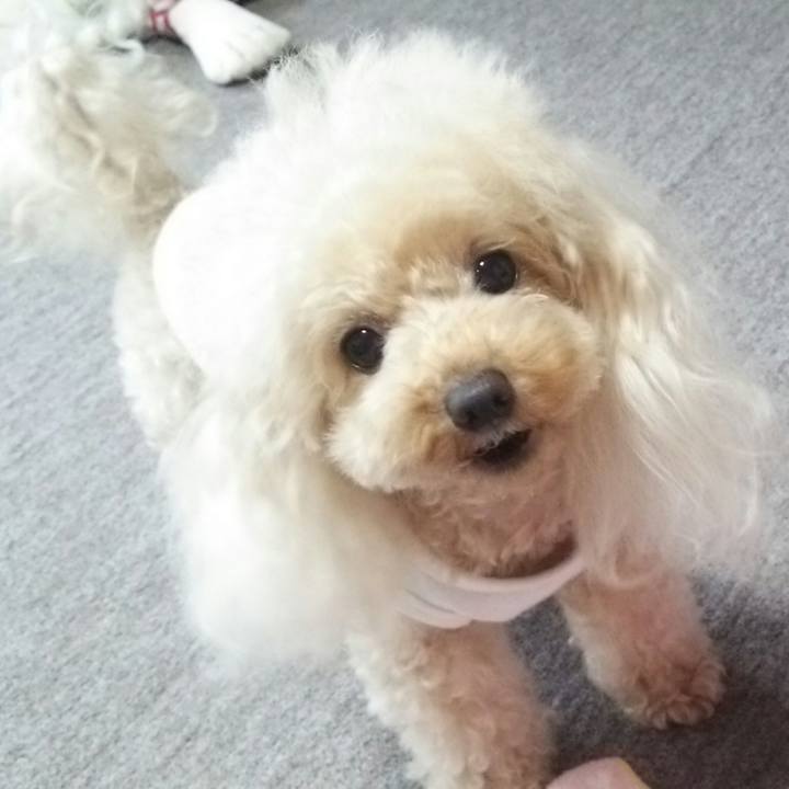 9f8d3f01 670c 4547 a37e 13326068b317 1537918224970