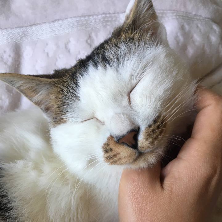 9f8d8128 ccf4 40ff a4af 326e12ebf13e 1514353525118