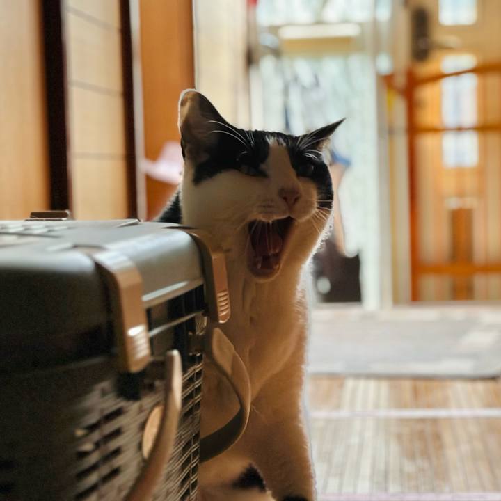 9f8d88a7 d9e4 4121 bd24 773b0144410a 1720748066186