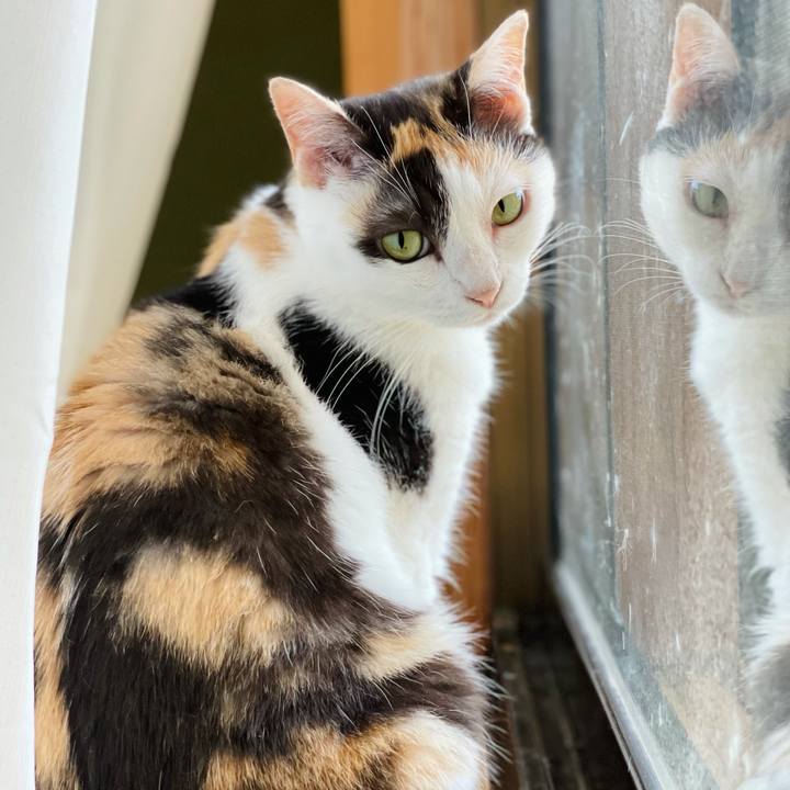 9f8d9469 4ab8 4c41 829b 60e25ba786d1 1628997671893