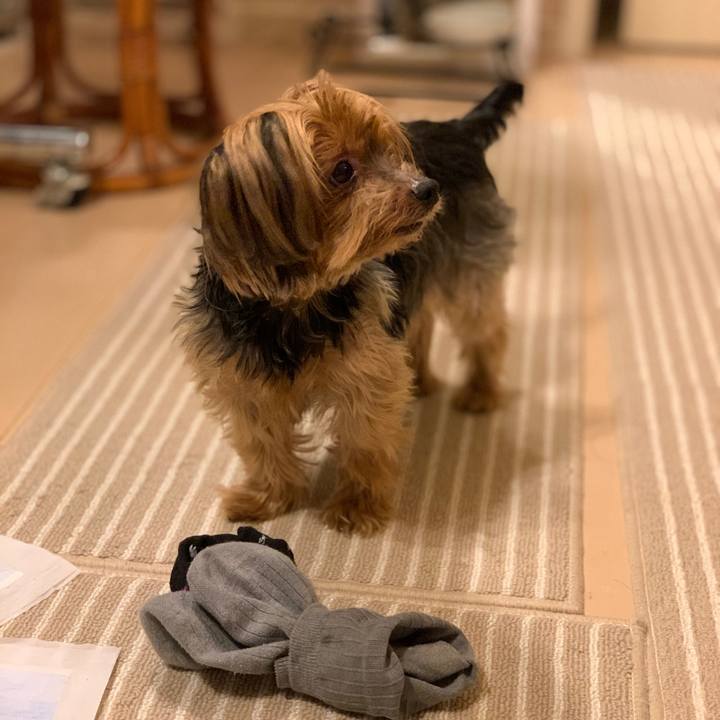 9f8d9d32 3ae0 491e 9870 3d53eb868397 1580119654708