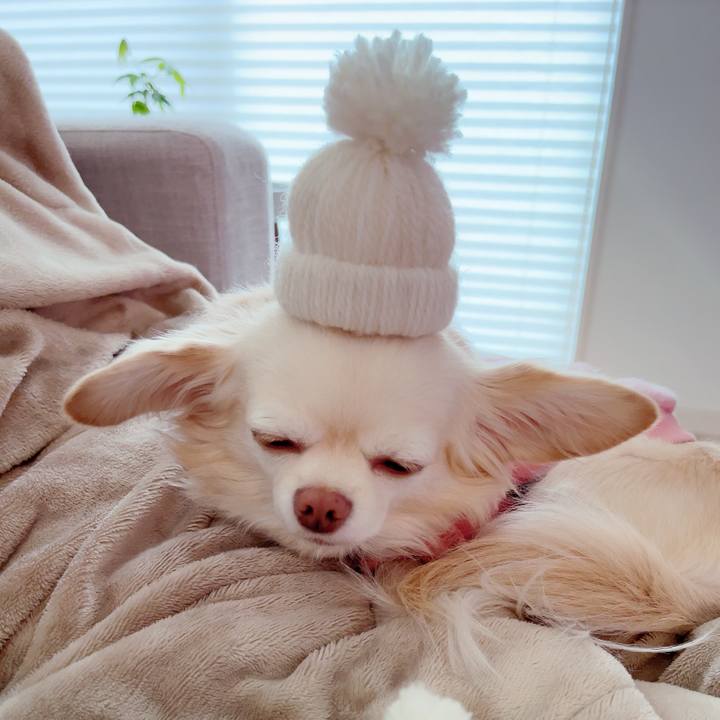 9f8de71d c004 4331 83cf f88b3f00b946 1701853446772