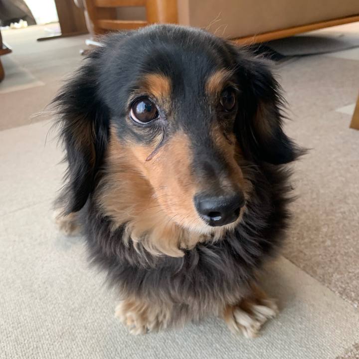 9f8e0a7a 2406 4127 b6b8 be379d2dcd0c 1550892023270