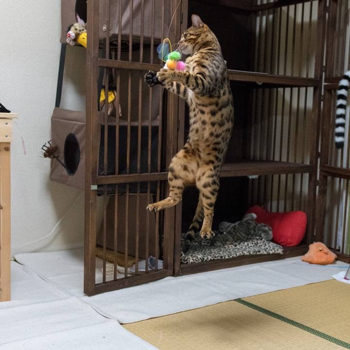 9f8e0c59 63d2 443d bd21 59bc29af6997 1521207669385