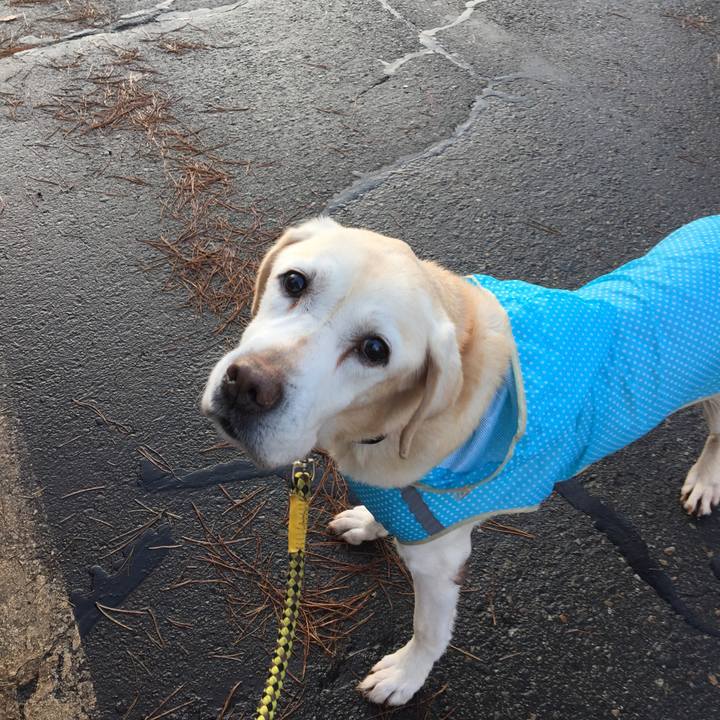 9f8e0e1d a331 461e a4a8 643f5573e9b2 1619949606905