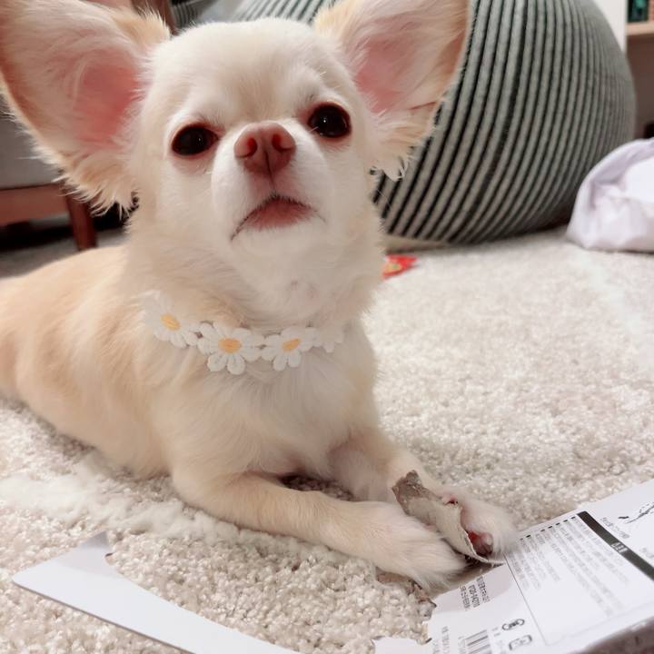 9f8e3010 fa9c 47a4 87f3 528e5522a3e4 1688201093052