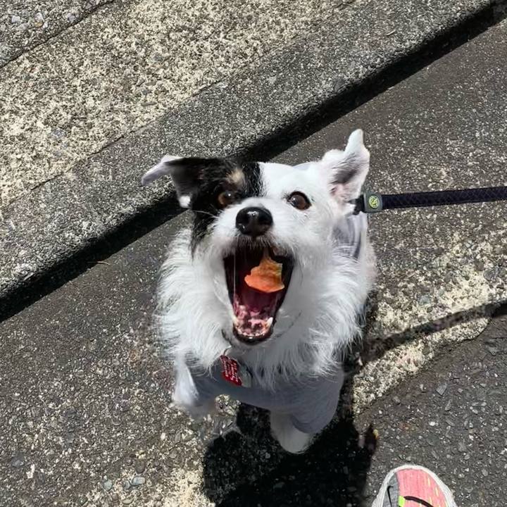 9f8e8e5b 4d9a 4fdd b738 70ca7534fdc0 1684284245261