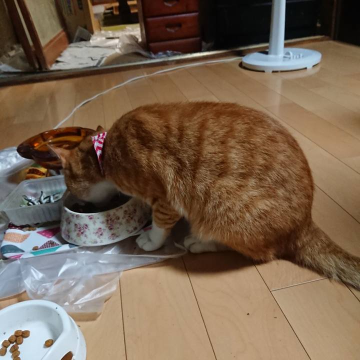 9f8ea898 3076 4a50 bdce 15feecfe45a0 1597485489676