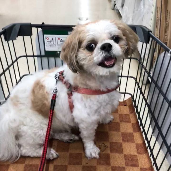 9f8ebe91 39ed 4186 b118 cdbaf16eb981 1532760095568