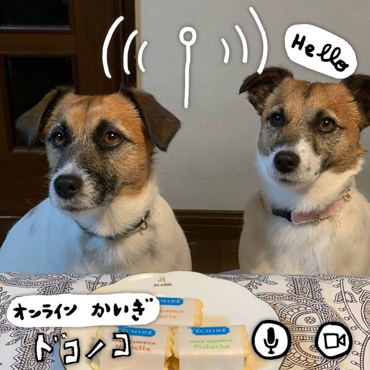 9f8ecccb 9788 405e 8ba1 73a5d856094f 1590723291383