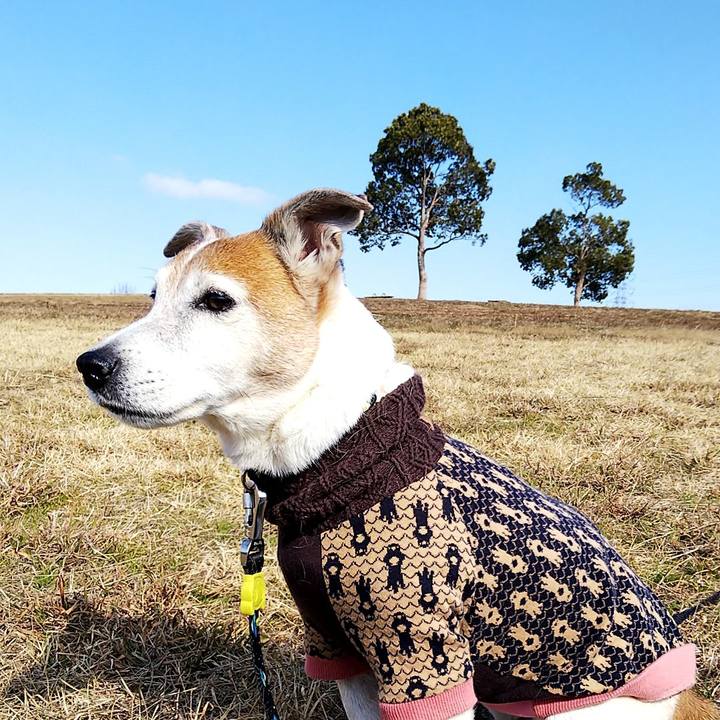 9f8f020f 7ad2 4eaa bbfc c00ee92505fb 1548567707199