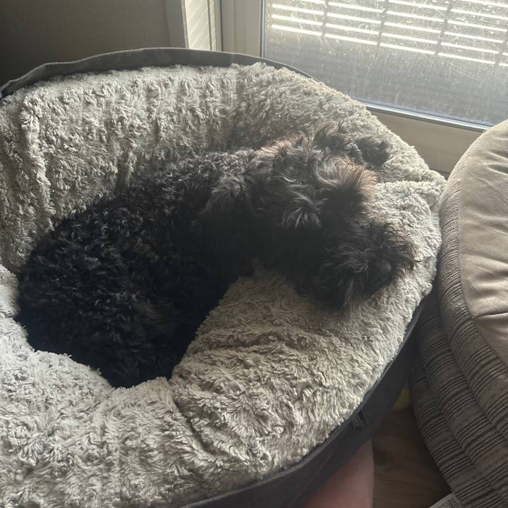 9f8f112d 3d19 4757 9f6e 6aedab439d34 1717825631083