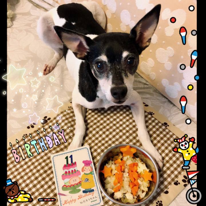 9f8f11ce c6a4 4abd 9a91 529cd9176d99 1562022712860