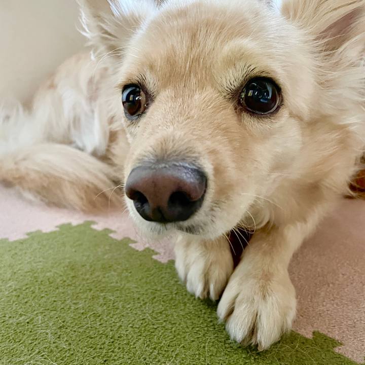 9f8f1bc9 1f33 4ede 82a4 92e2712785ce 1752885698482