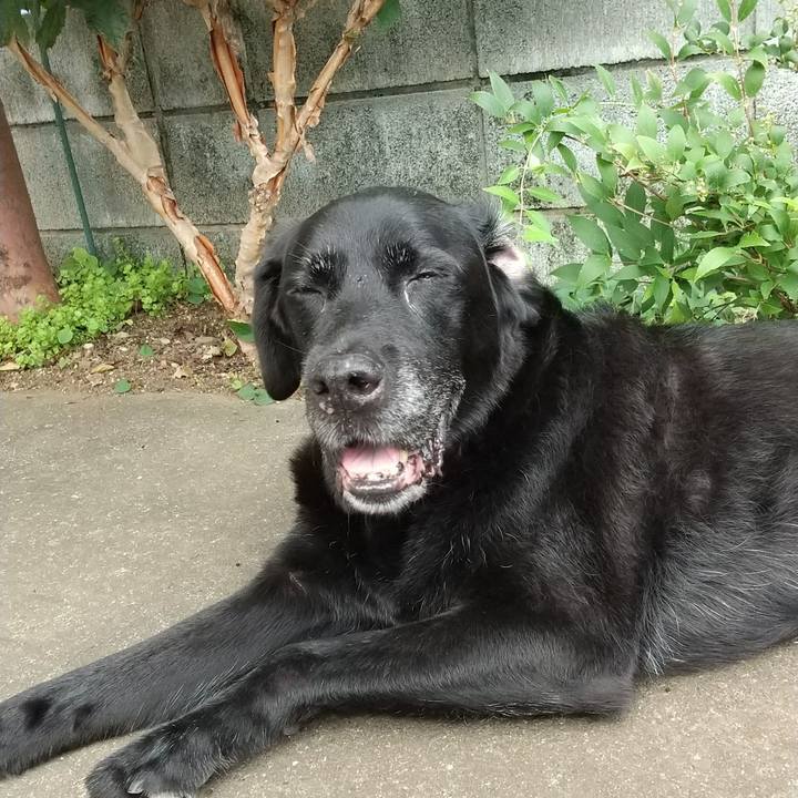 9f8f6318 7b99 4aad ab12 b6496f07e287 1696132935676