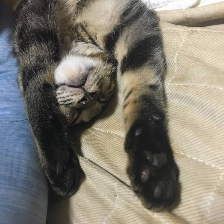 9f9007f2 4691 45dc 877c ccb17c25fbab 1538794736185