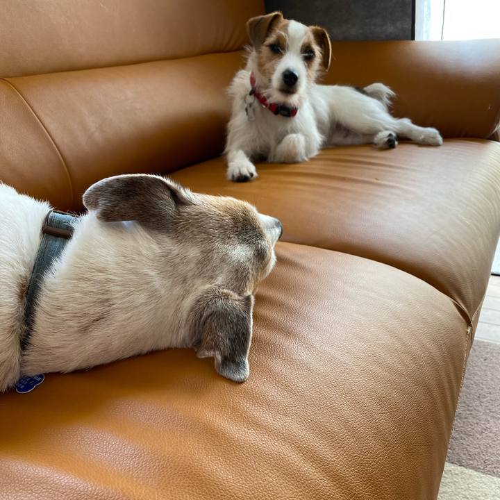 9f901722 a4ef 4e4f a5cf 914bfd6a6162 1649211433991