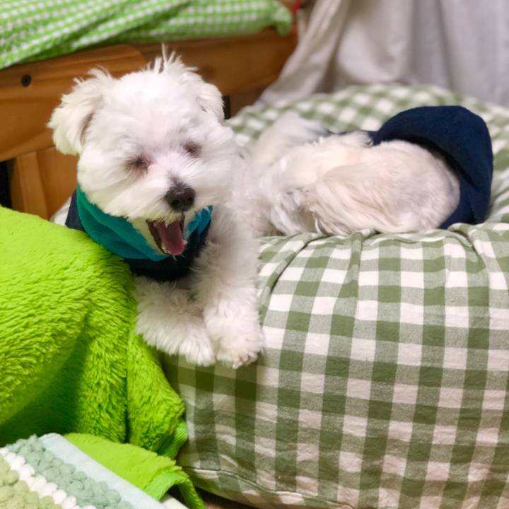 9f9024fc 052a 4d6c 868e 2c270d3b4f23 1523751268251